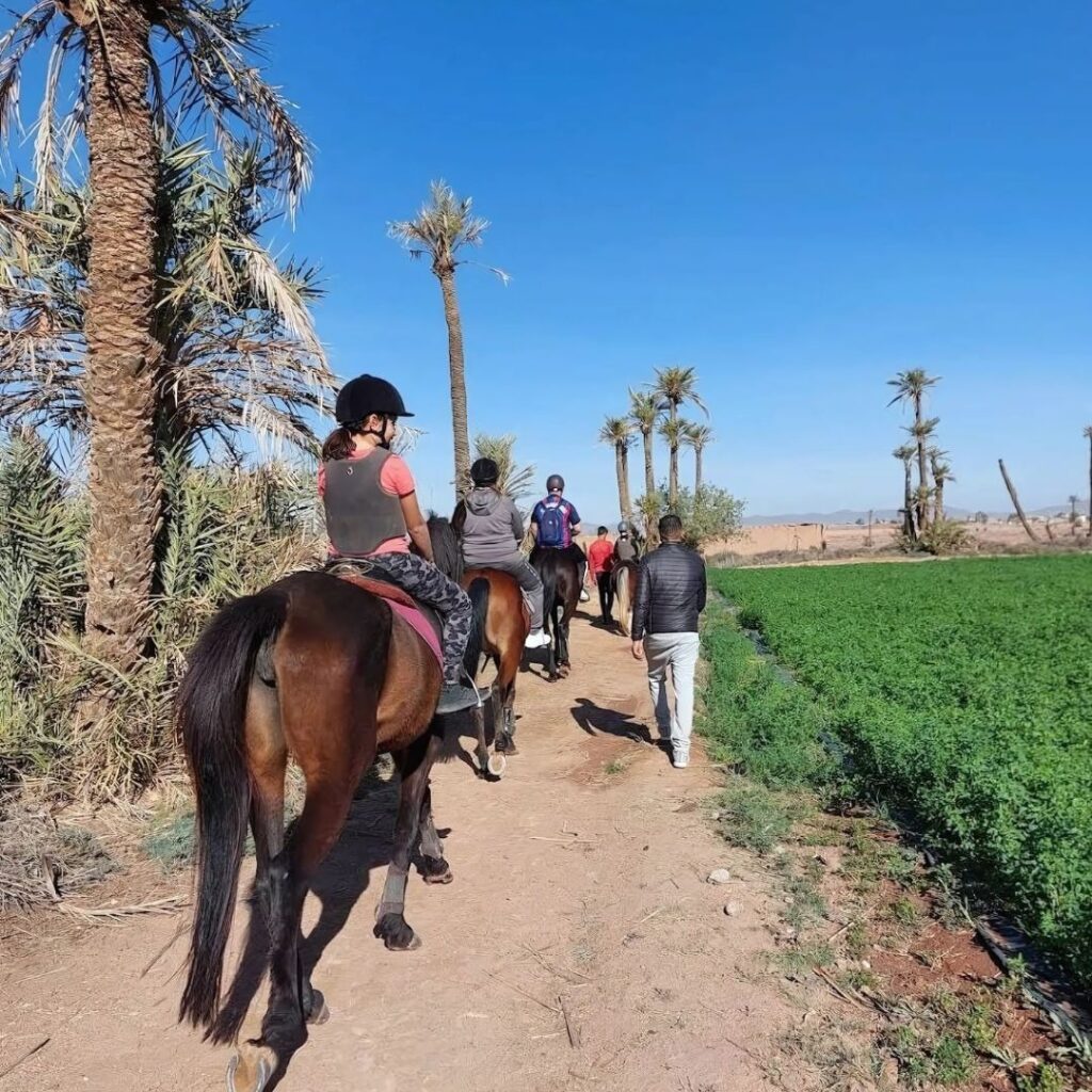 Balade à cheval